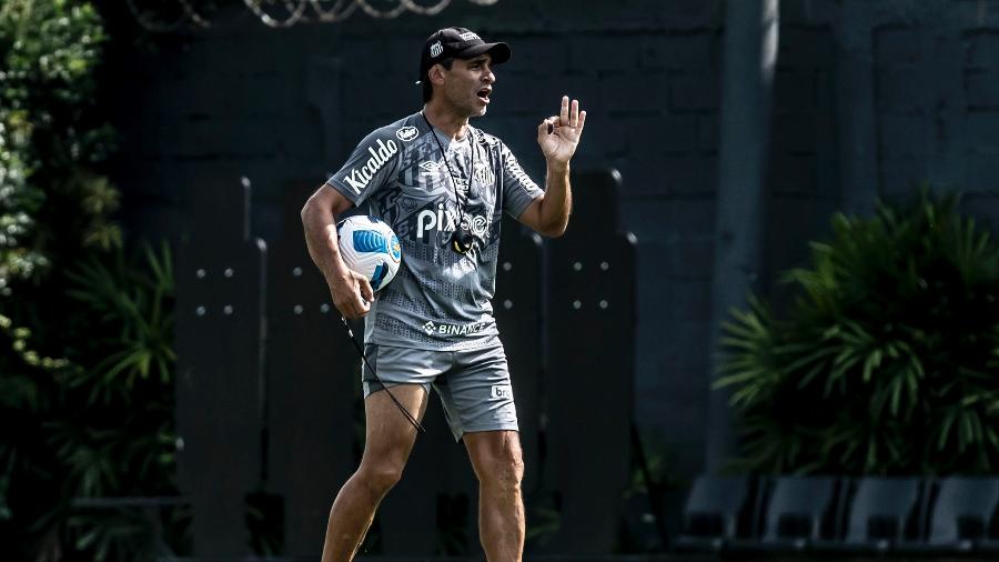 Fabián Bustos, técnico do Santos - Ivan Storti/Santos FC
