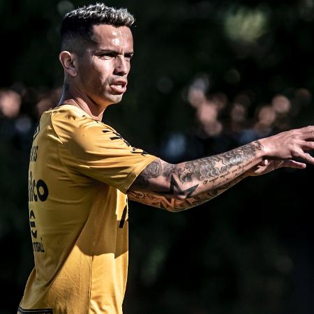 Carabajal, do Santos, ainda busca se afirmar no clube  - Ivan Storti/Santos FC
