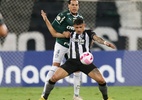 Botafogo vai com 4 atacantes e Palmeiras tem volta de Murilo; veja times - REUTERS/Sergio Moraes