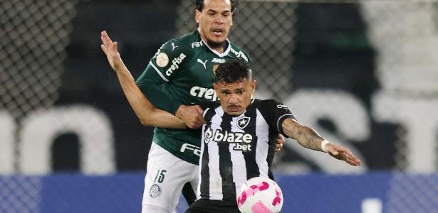 Botafogo Escala 4 Atacantes e Palmeiras Conta com Retorno de Murilo na Partida.