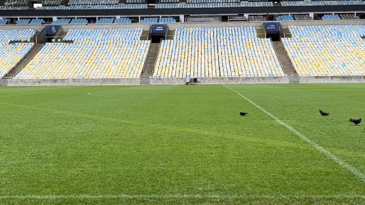 Gramado do Maracanã ficou com marcas após show do grupo de pagode Sorriso Maroto, no sábado Gramado do Maracanã ficou com marcas após show do grupo de pagode Sorriso Maroto, no sábado