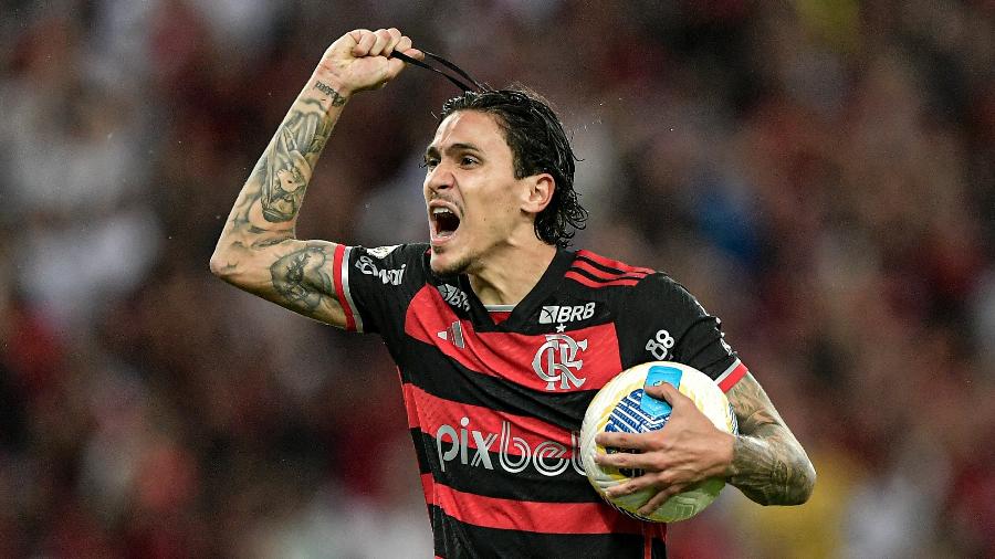 Pedro balançou as redes para o Flamengo no duelo contra o Cuiabá, válido pelo Campeonato Brasileiro