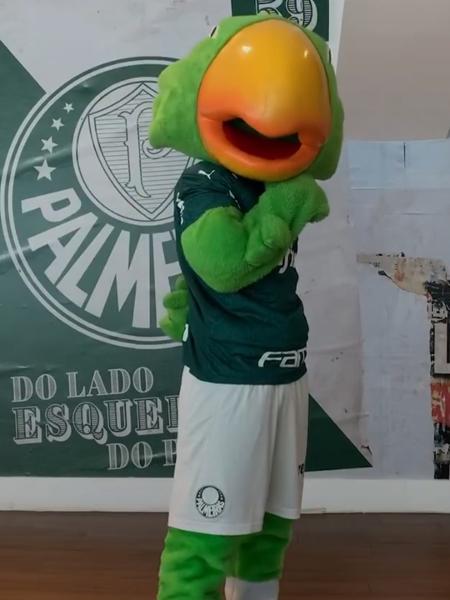 Em parceria com Instagram, Palmeiras incentiva torcida e ficar em casa - Reprodução/Instagram