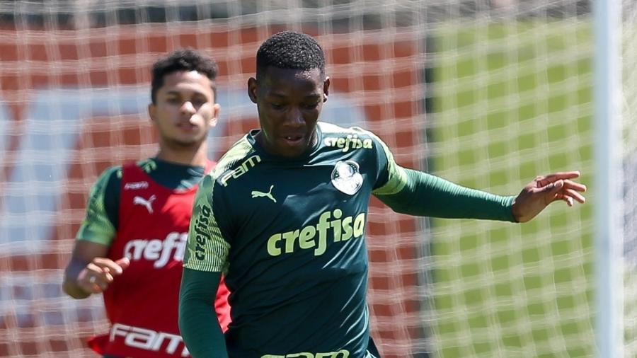 Palmeiras em treino antes de jogo do Paulista: clube será atração de estreia do Estadual na Globo - Fabio Menotti / Ag. Palmeiras