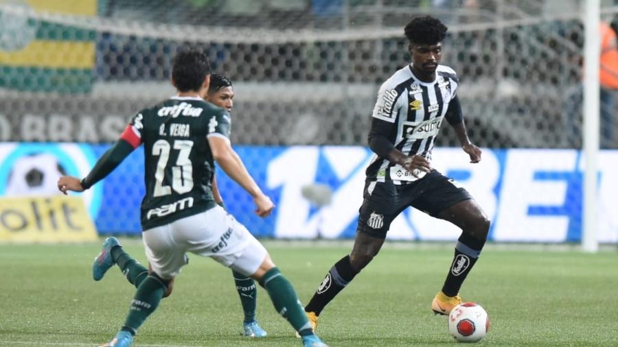 O zagueiro Eduardo Bauermann durante duelo entre Palmeiras e Santos - Ivan Storti/Santos