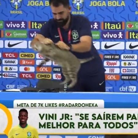 Vinicius Rodrigues, assessor da CBF, tira gato da bancada durante entrevista de Vinicius Jr. - Reprodução/Twitter