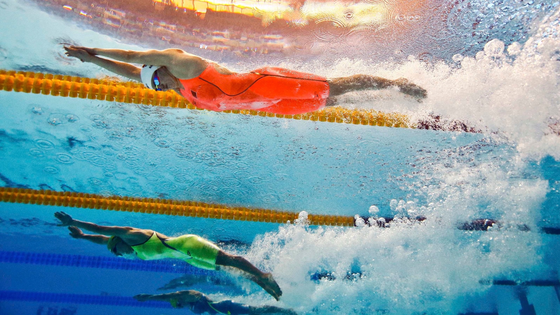 Fotos: Detalhes subaquáticos do Mundial-2015 - 28/07/2015 - UOL Esporte