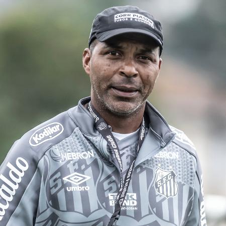 Orlando Ribeiro, técnico do Santos - Ivan Storti/ Santos FC