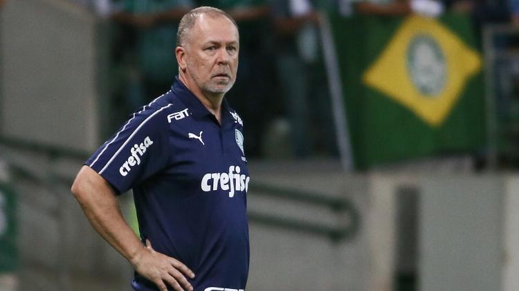 Mano Menezes chegou à marca de 15 partidas como treinador do Palmeiras - Marcello Zambrana/AGIF