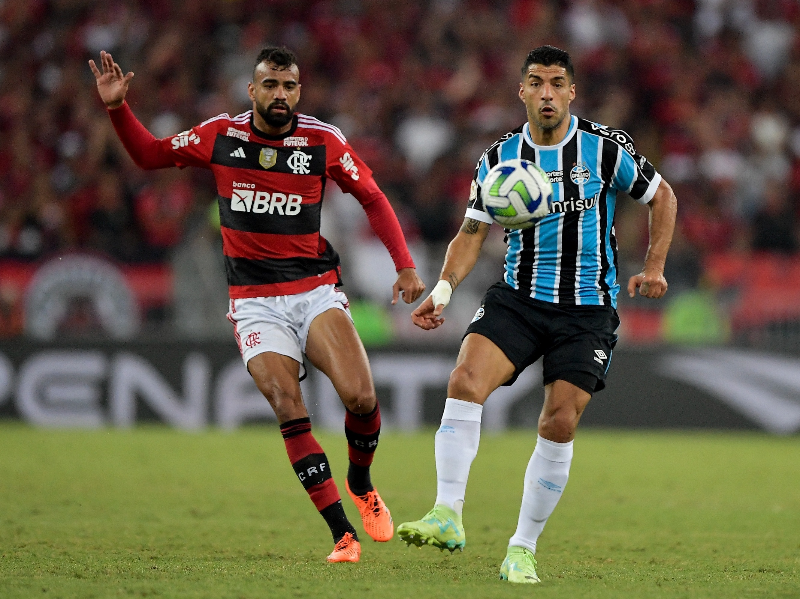 Assistir Grêmio x Flamengo ao vivo online 25/10/2023 ⋆