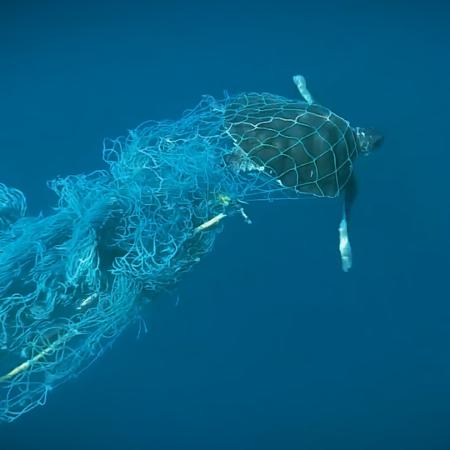 As redes fantasmas são uma das maiores ameaças nos oceanos