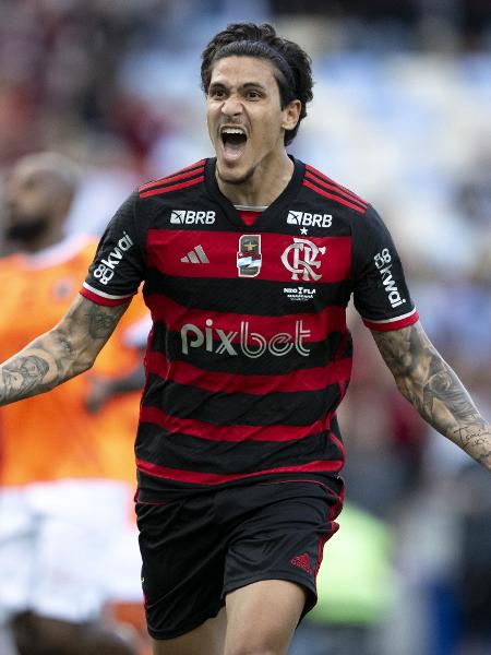 Pedro, do Flamengo, comemora ao marcar na final do Carioca, contra o Nova Iguaçu