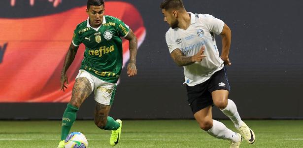 PALMEIRAS TEM NOVO ESQUEMA! Dudu e Felipe Anderson devem ser titulares contra o Bahia!