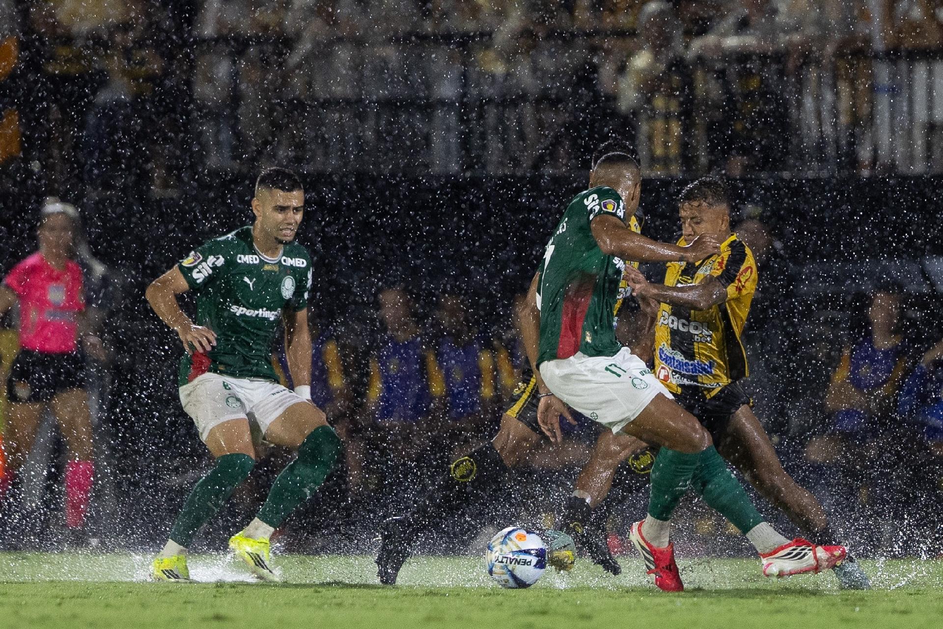 Novorizontino x Palmeiras, na final do Paulistão - undefined