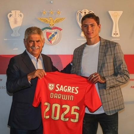Darwin Núñez é apresentado pelo Benfica - SL Benfica/Divulgação