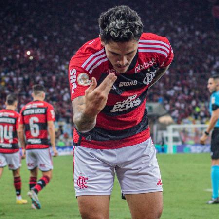 Pedro comemora gol em Flamengo x Palmeiras, confronto do Campeonato Brasileiro