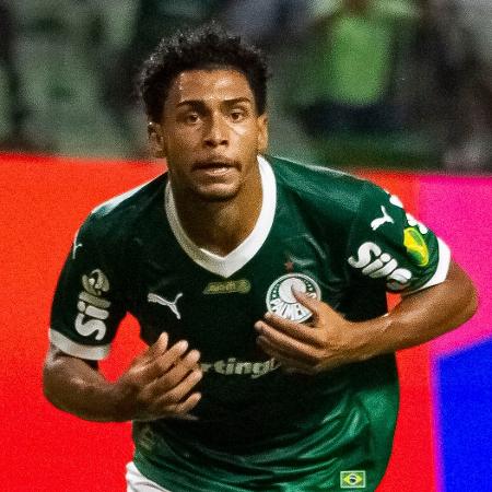 Luighi comemora gol do Palmeiras sobre o Botafogo-SP em jogo do Paulistão - VINICIUS NUNES/AGÊNCIA F8/ESTADÃO CONTEÚDO
