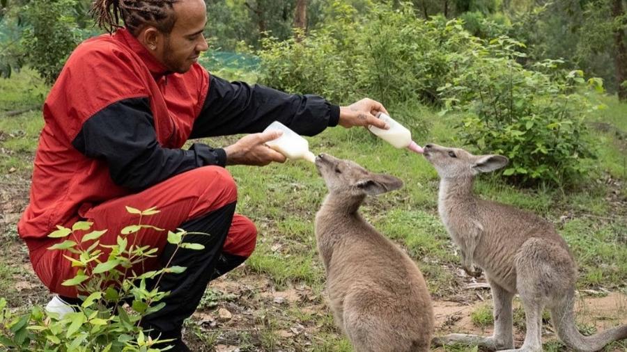 Lewis Hamilton aproveitou visita à Austrália para ir a áreas atingidas por queimadas - Reprodução/Instagram