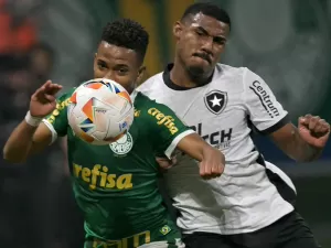 Palmeiras x Botafogo teve maior audiência da Libertadores na TV Globo em SP