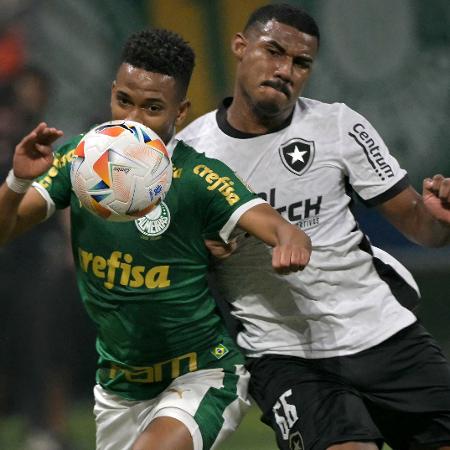 Cuibano e Estêvão em ação durante jogo entre Palmeiras e Botafogo