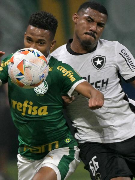 Cuibano e Estêvão em ação durante jogo entre Palmeiras e Botafogo, pela Libertadores