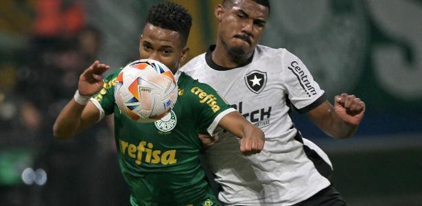 Palmeiras tropeça em decisões e Botafogo pode ser campeão no Allianz