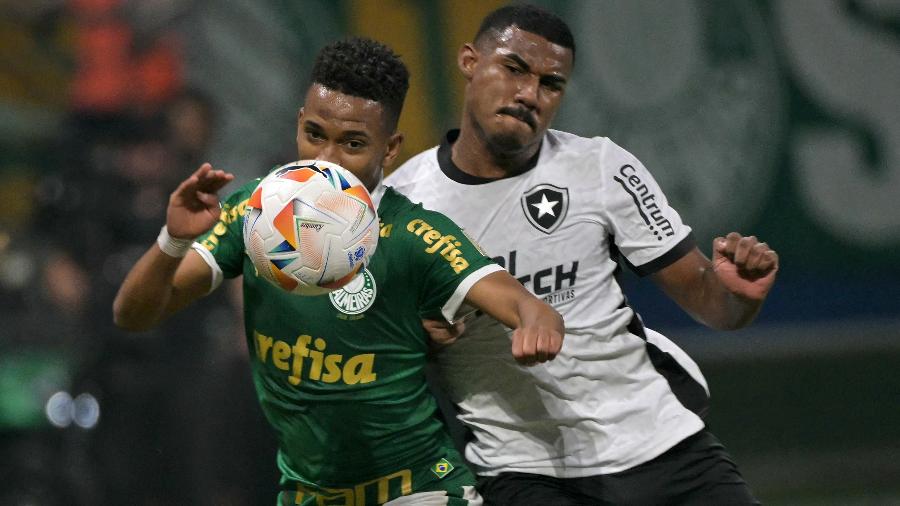 Cuibano e Estêvão em ação durante jogo entre Palmeiras e Botafogo, pela Libertadores