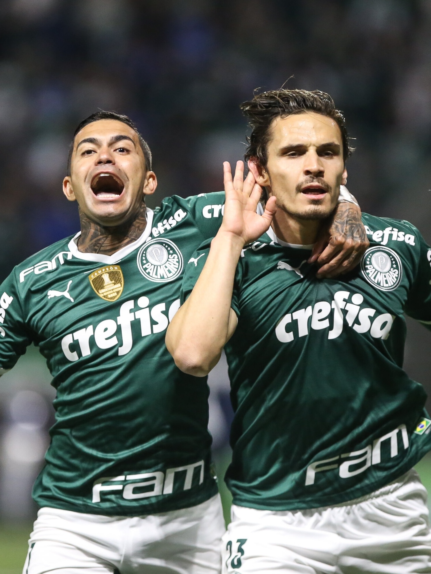 Veiga fala em Palmeiras focado para o próximo jogo: 'Mentalidade muito  forte