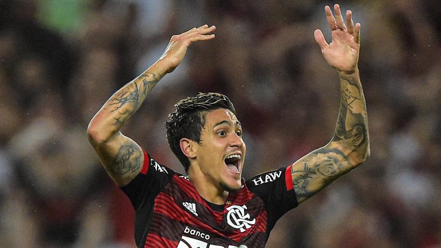 Pedro celebra gol do Flamengo na partida contra o Corinthians, válida pela Libertadores - Thiago Ribeiro/AGIF