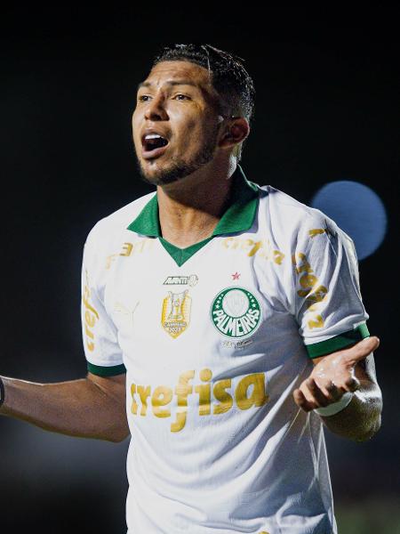 Palmeiras é o atual campeão do Brasileirão - Jhony Pinho/Agif