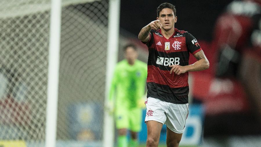Pedro comemora gol do Flamengo contra o Goiás - Jorge Rodrigues/AGIF