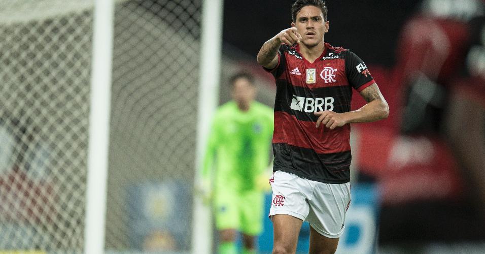 Pedro comemora gol do Flamengo contra o Goiás