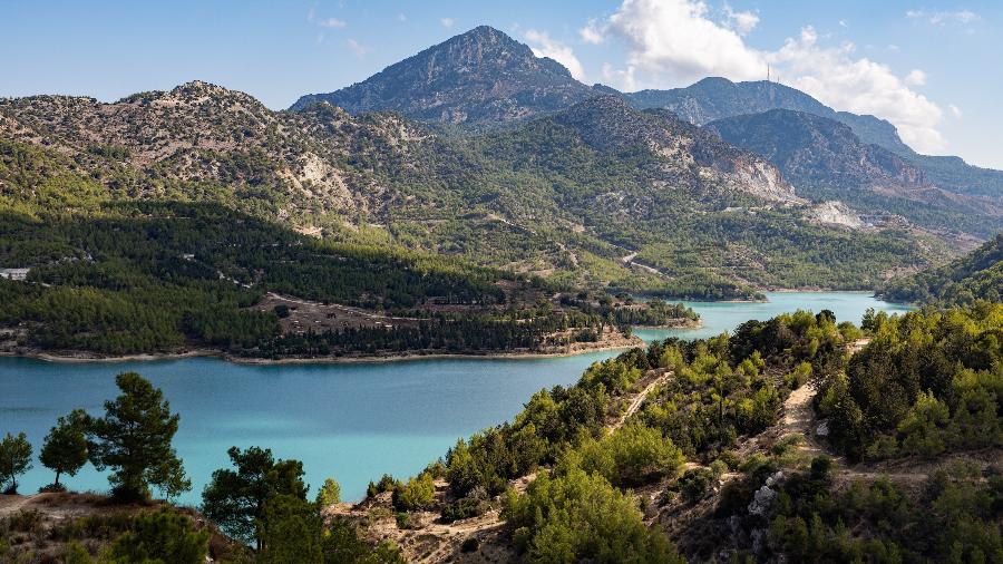 Atualmente, a biodiversidade do Mediterrâneo é muito alta graças à presença de inúmeras espécies endêmicas