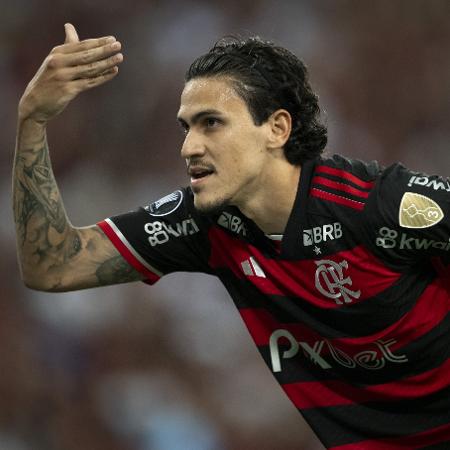 Pedro comemora gol durante Flamengo x Millonarios, partida da Libertadores