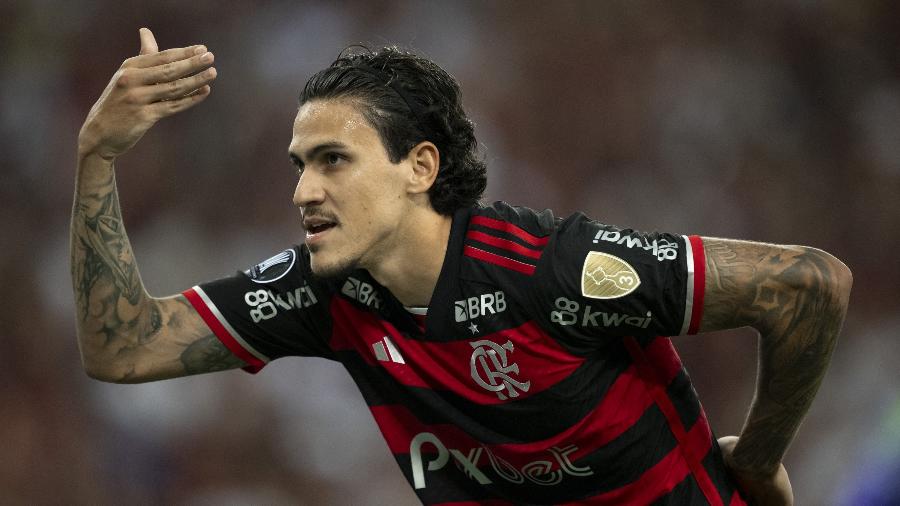 Pedro comemora gol durante Flamengo x Millonarios, partida da Libertadores