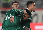 Crise no Palmeiras acabou? 'Só até domingo', diz Alicia Klein