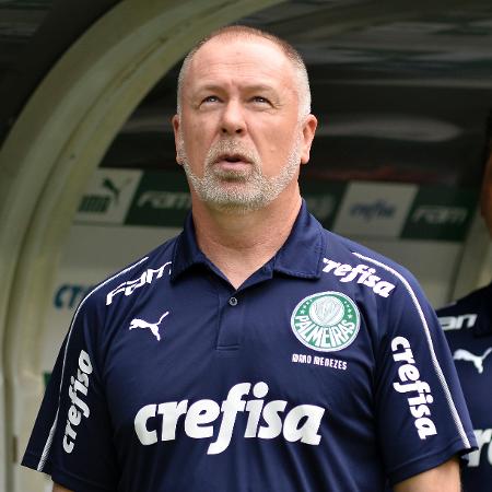 Mano Menezes em sua passagem pelo Palmeiras - Bruno Ulivieri/AGIF