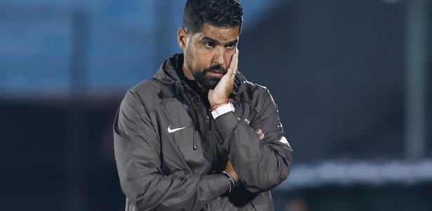 Corinthians Deve Priorizar o Brasileirão, Segundo Ídolos do Clube