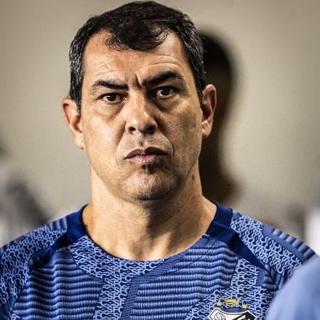 Fabio Carille, técnico do Santos, durante jogo contra o Novorizontino pela Série B