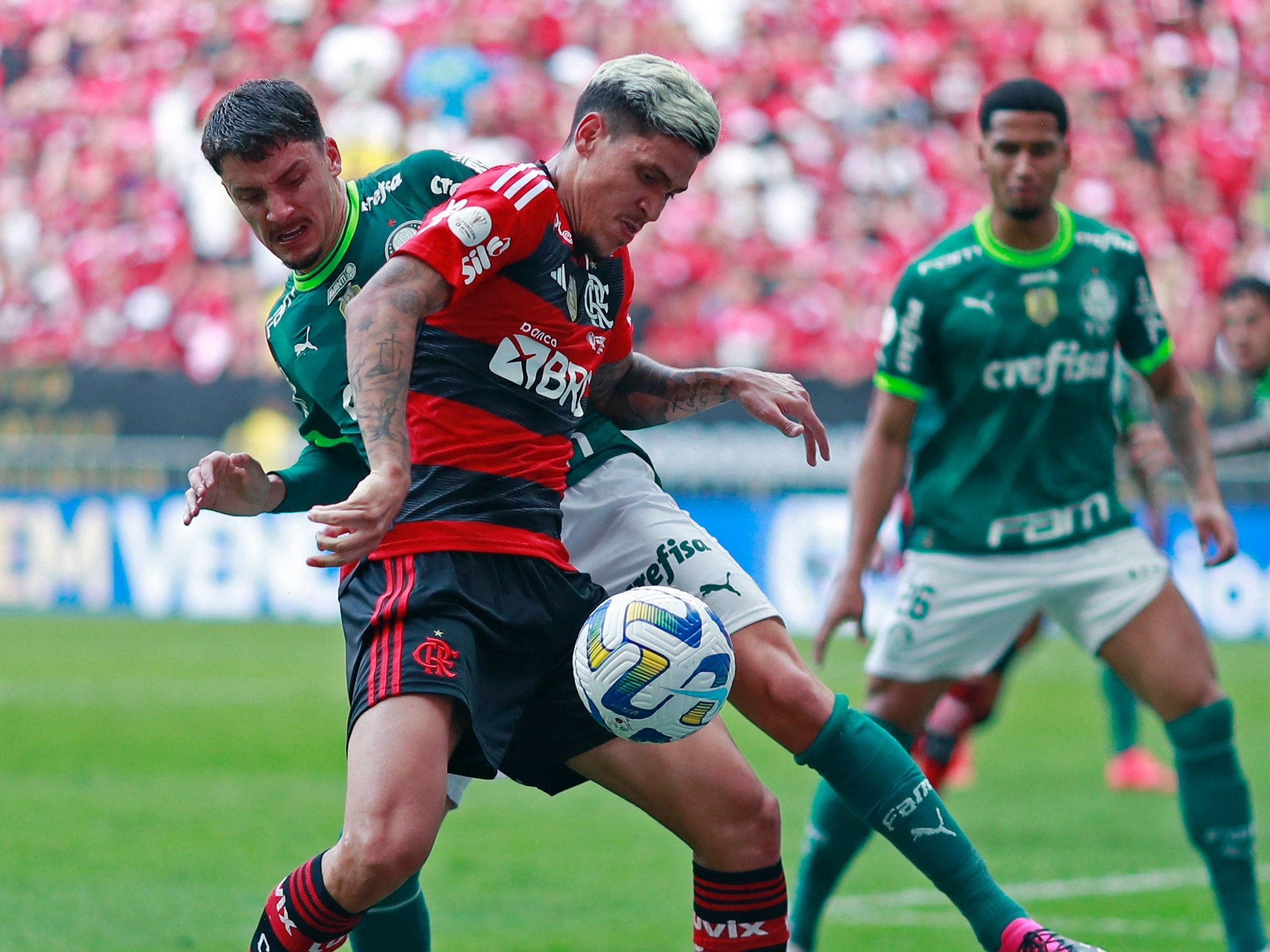 FLAMENGO X PALMEIRAS TRANSMISSÃO AO VIVO DIRETO DO ALLIANZ - CAMPEONATO  BRASILEIRO 2023 - RODADA 14 