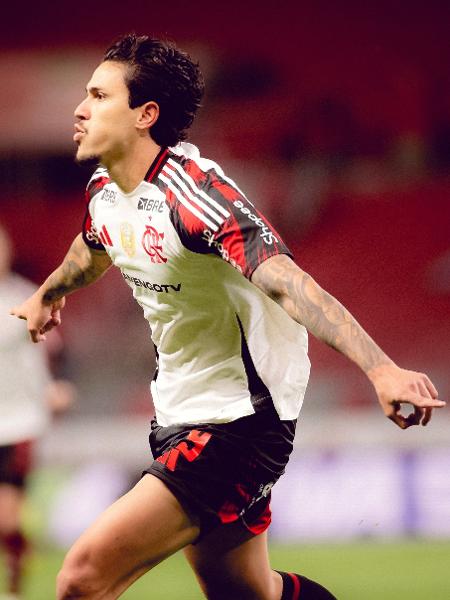 Pedro comemora um de seus gols pelo Flamengo sobre o Internacional