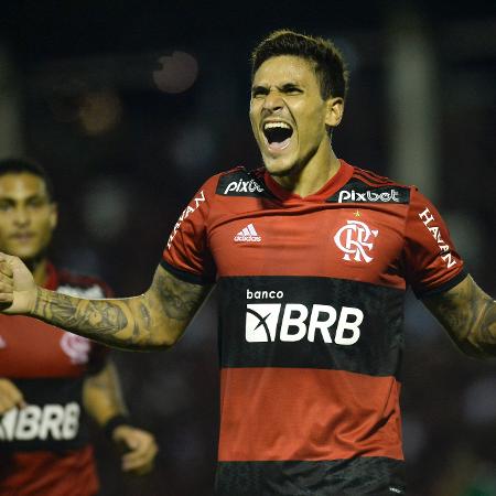 Pedro comemora gol pelo Flamengo - Marcelo Cortes / Flamengo