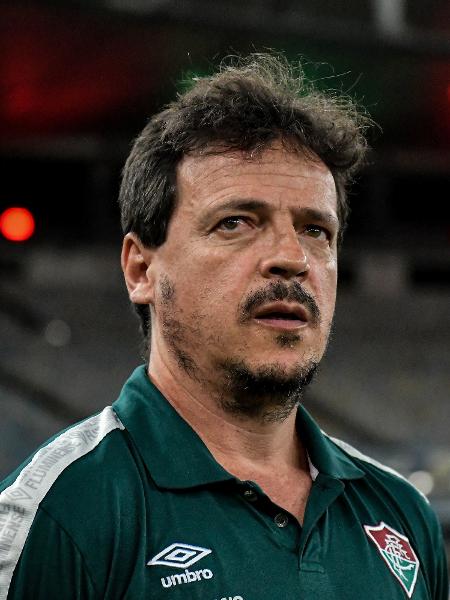 Fernando Diniz, técnico do Fluminense, em jogo contra o Goiás pelo Brasileirão - Thiago Ribeiro/AGIF