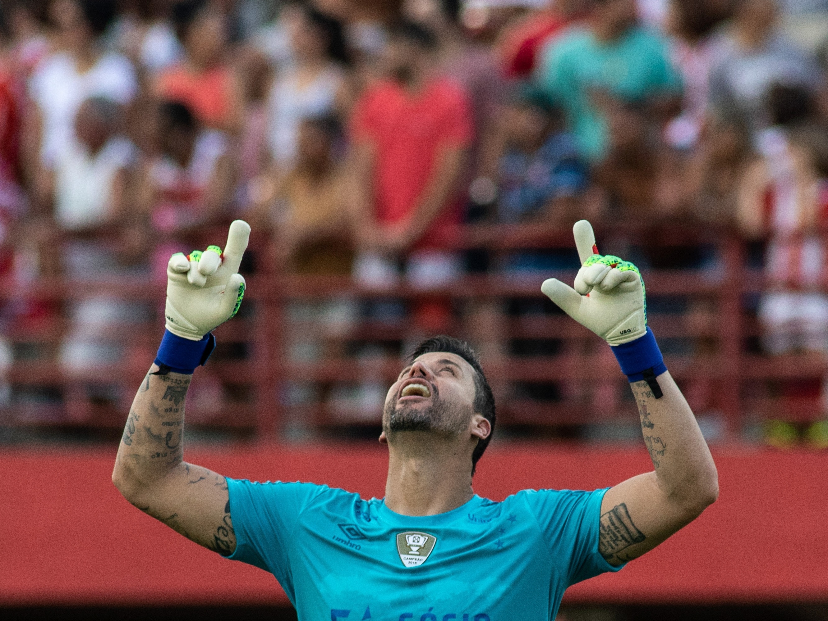 Fábio vai se isolar como o brasileiro com mais jogos na história da  Libertadores — Fluminense Football Club