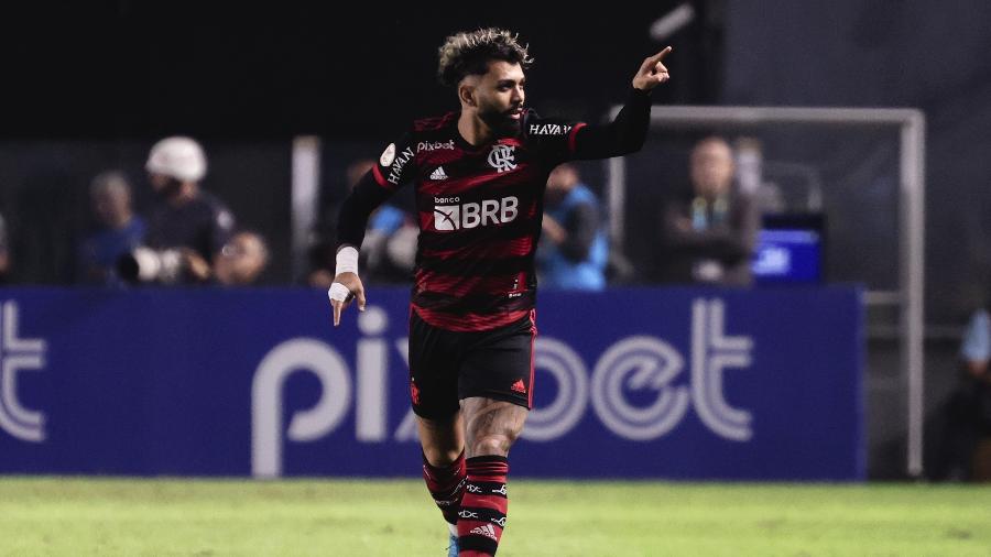 Gabigol, do Flamengo, comemora seu gol durante partida contra o Santos pelo Brasileirão - Ettore Chiereguini/AGIF