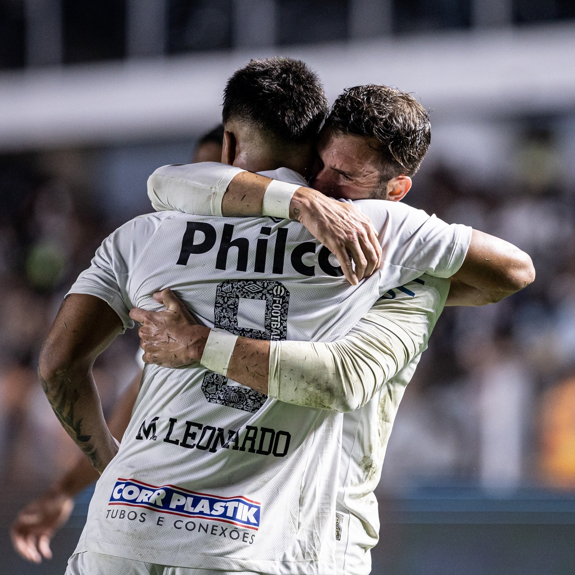 Santos busca empate no fim, respira e complica a vida do Botafogo na briga  pelo título - Brasileirão - Br - Futboo.com