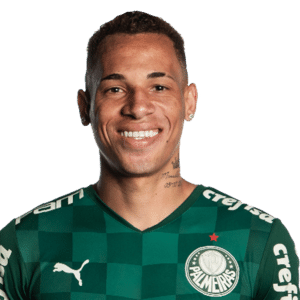 Divulgação/Site oficial do Palmeiras