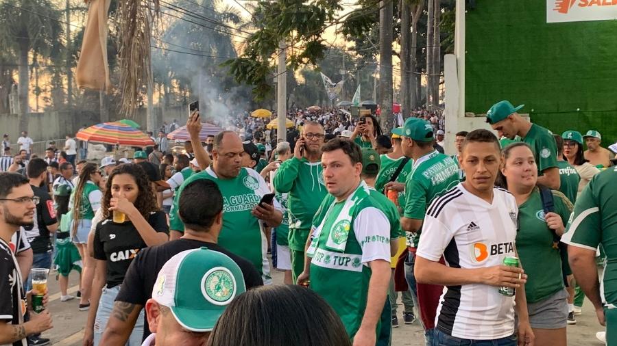 Podiam levar junto”; Torcida do Palmeiras faz campanha para Bahia