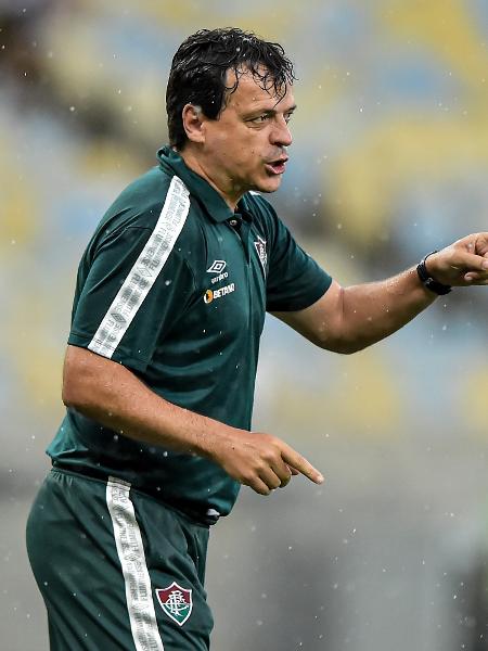 Fernando Diniz, técnico do Fluminense, gesticula durante clássico contra o Botafogo - Thiago Ribeiro/AGIF