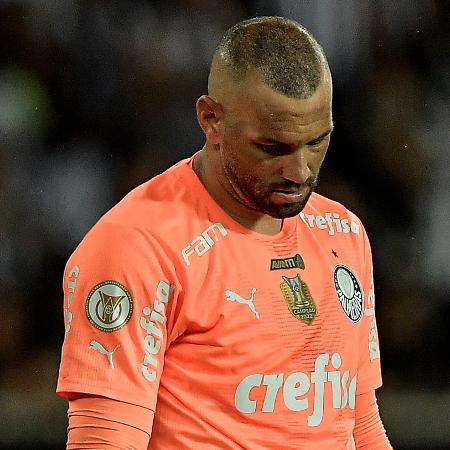 Weverton se lamenta durante Botafogo x Palmeiras, jogo do Campeonato Brasileiro